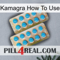 Kamagra How To Use new08